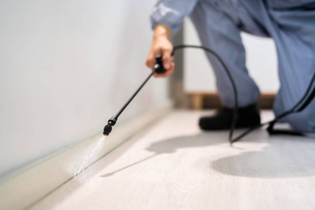 Licensed Pest Control service in Pymatuning Central, PA - Show Me Pest Control