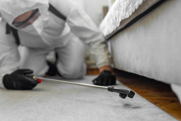 Professional Ant Control technician working in Pymatuning Central, PA